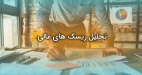 تحلیل ریسک های مالی شرکت ها