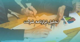 تحلیل ترازنامه شرکت ها