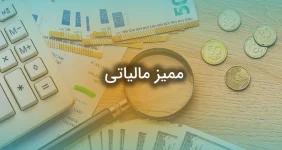 ممیز مالیاتی