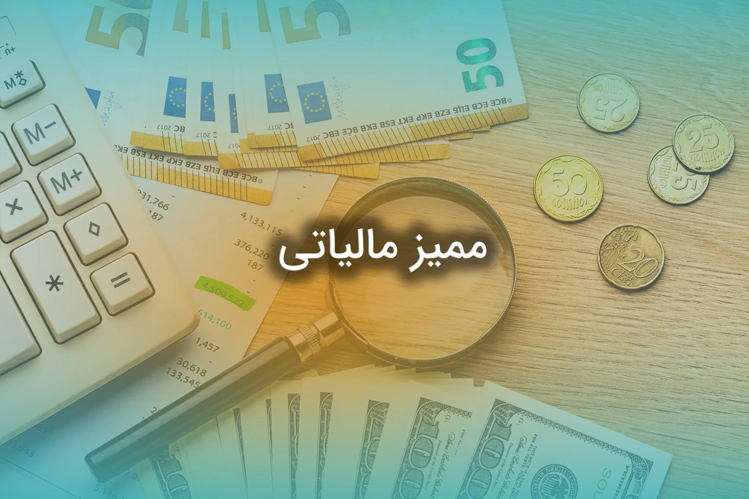 ممیز مالیاتی